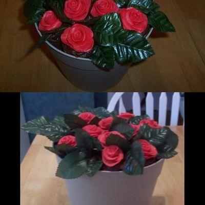 Pot Of Roses