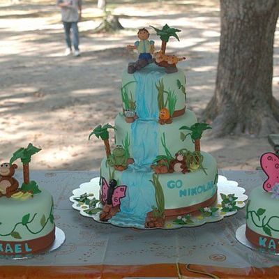 Diego Theme Birthday Party