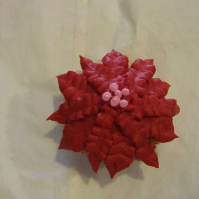 Poinsettia