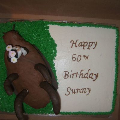 60Th Birthday Cake For The Owner Of A Local Pest Control Company