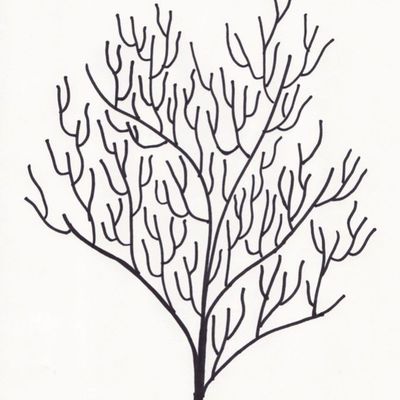 Template Of Fan Coral