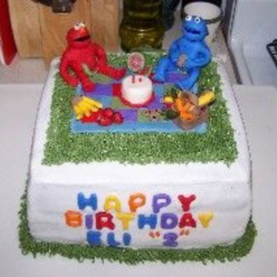Birthday Picnic