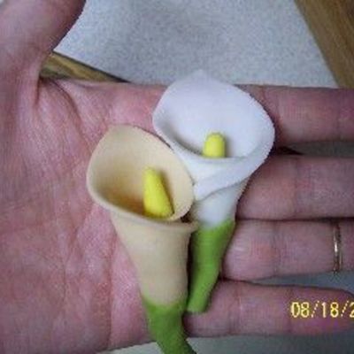 Calla Lillies