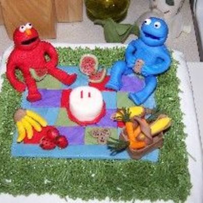 Birthday Picnic