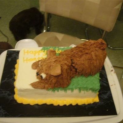 Dog Cake