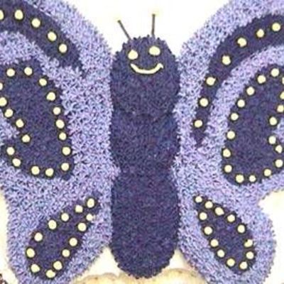 Butterfly Cake