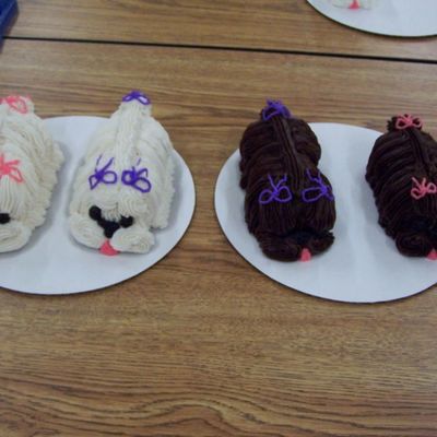 Pupcakes