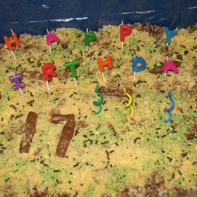 Kitty Litter Box Cake