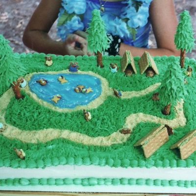 Sarah's Camping Party