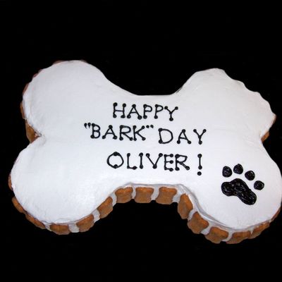 Puppy's First Birthday