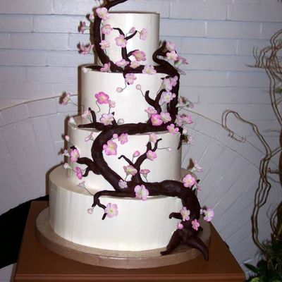 Meredith-Iradi Wedding