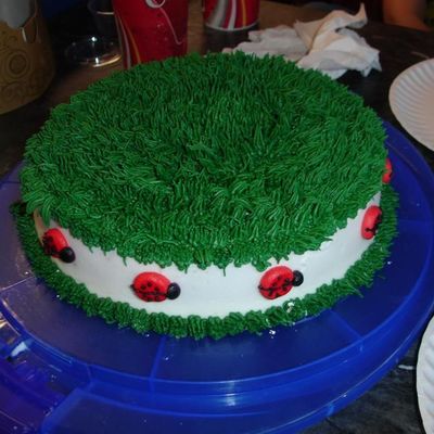 Ladybug Around Grass