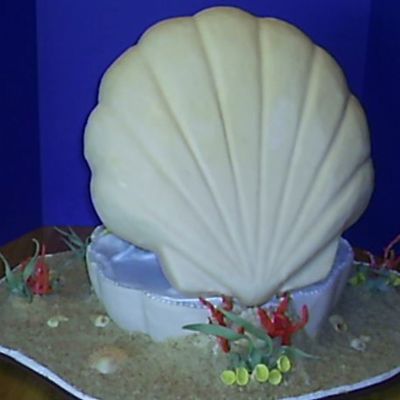 The World Is Your Oyster -Back