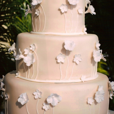 Ivory With White Blossoms