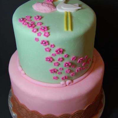 Stork Delivers The Baby