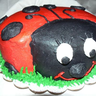 Lady Bug