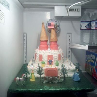 Granddaughters Castle Cake
