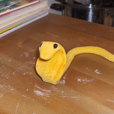 Albino Cobra