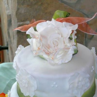 Casi's Wedding Cake Topper