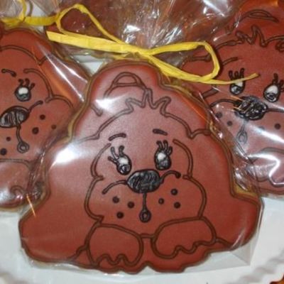Dog Cookie