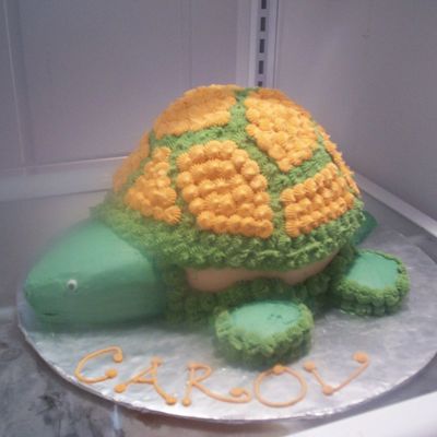 Turtle Cake
