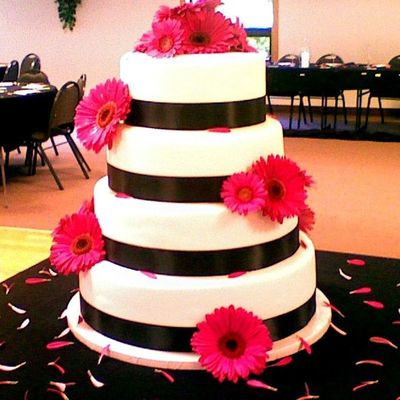 Pink Daisy & Black Ribbon