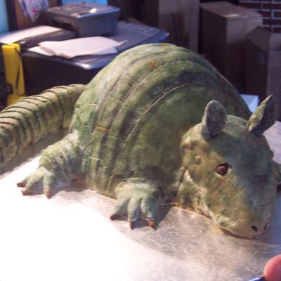 Armadillo Cake!