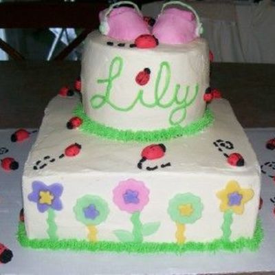 Lady Bug Baby Shower