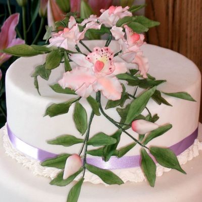 Close Up Of Sugar Orchids