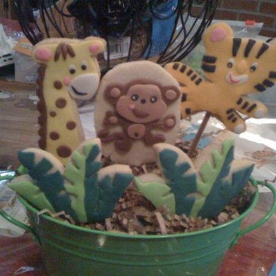 Rainforest Cookie Bouquet