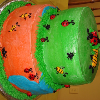 Cole's 10Th Birthday-Bugs