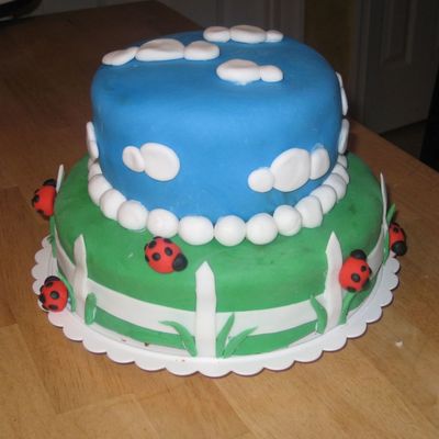 Ladybug Birthday Cake