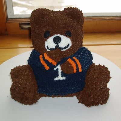 3D Chicago Bears Cake