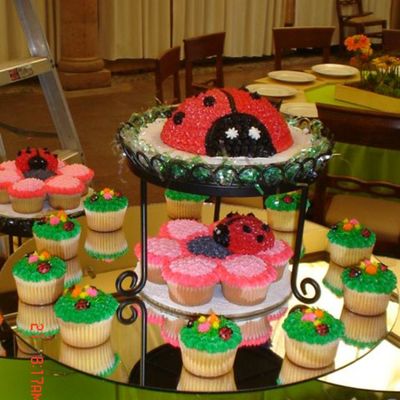 Lady Bugs