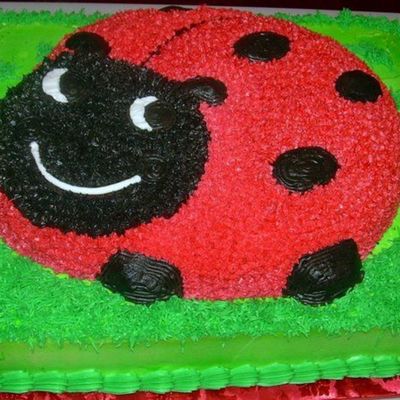 Bria - Lady Bug