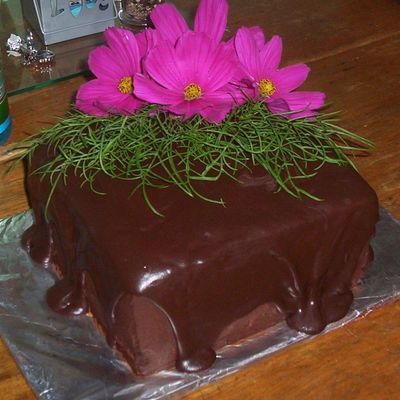 Scratch Chocolate Cake