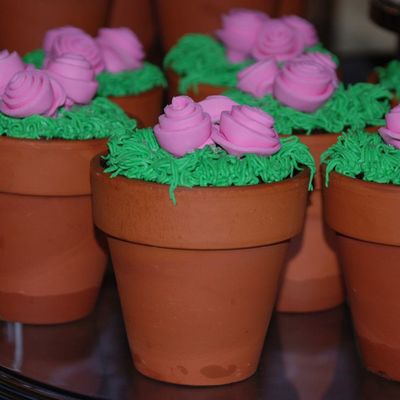 Flower Pot Cakes