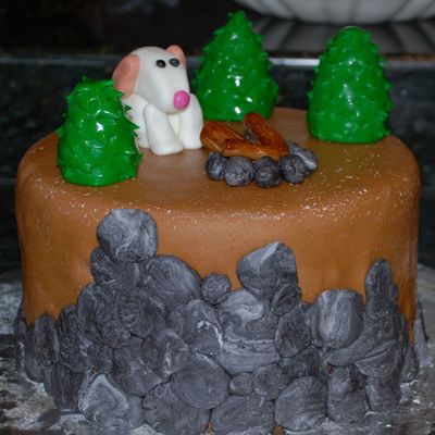 Camping Birthday Cake