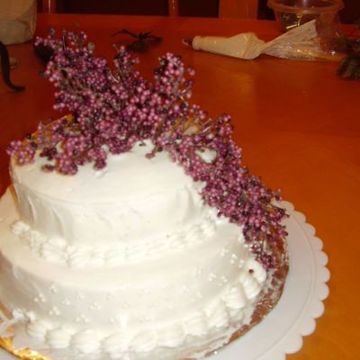 Practice Wedding Cake