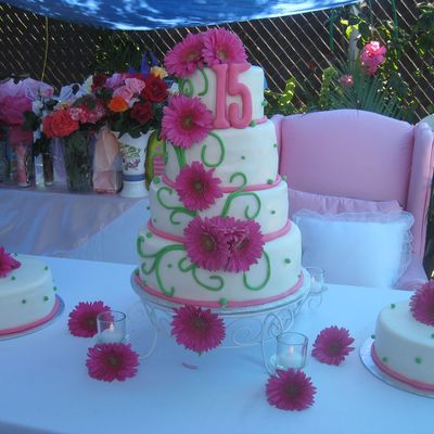 Terry's 15Anera