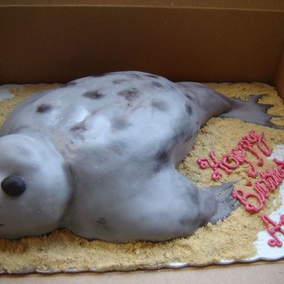 Niece's Seal Birthday Cake