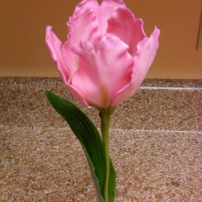 Gumpaste Tulip