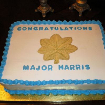 Airforce Promotion Cake