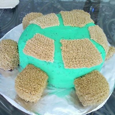 Turtle Cake