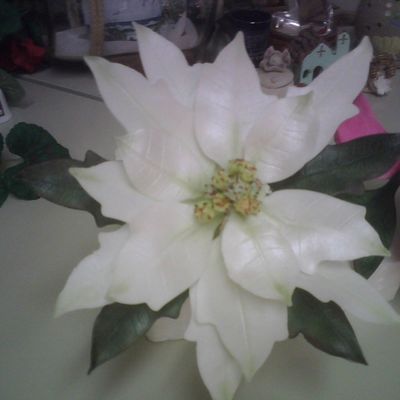Poinsettia - Gumpaste Flower