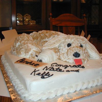 Veterinarian Graduation