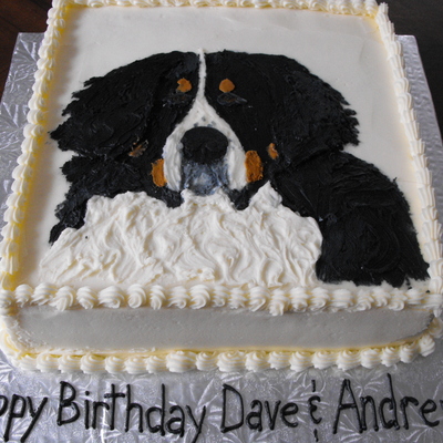 Burnese Mountain Dog