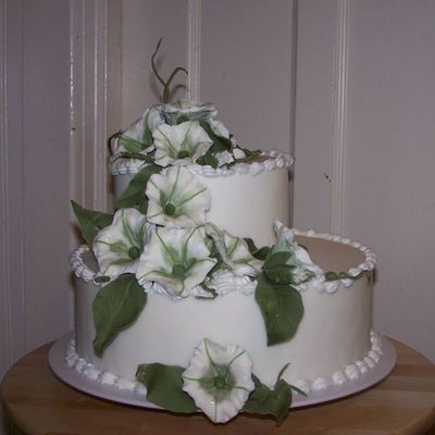 Wilton #3 Cake
