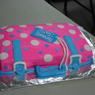 My Firsy Suitcase Attempt