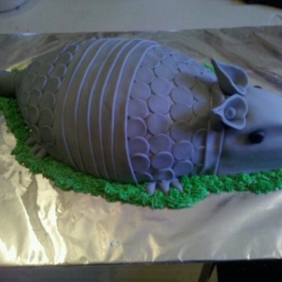 Armadillo Cake